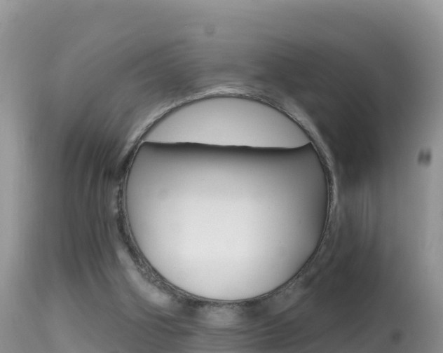 X0000114400106200910161105