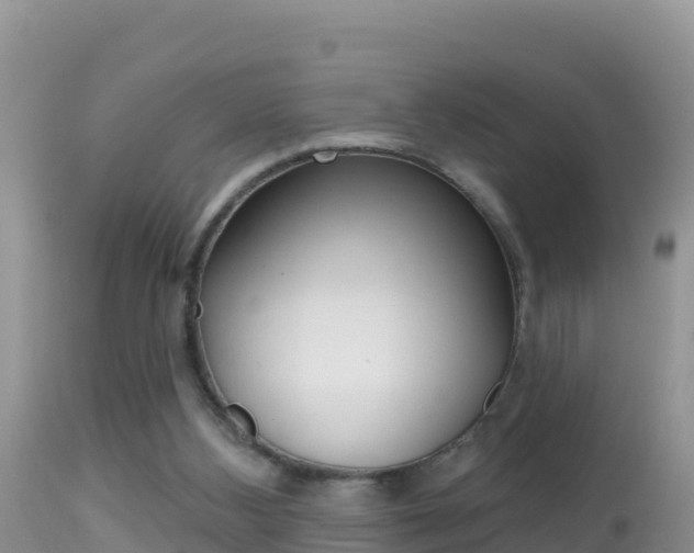 X0000114400108200910161105