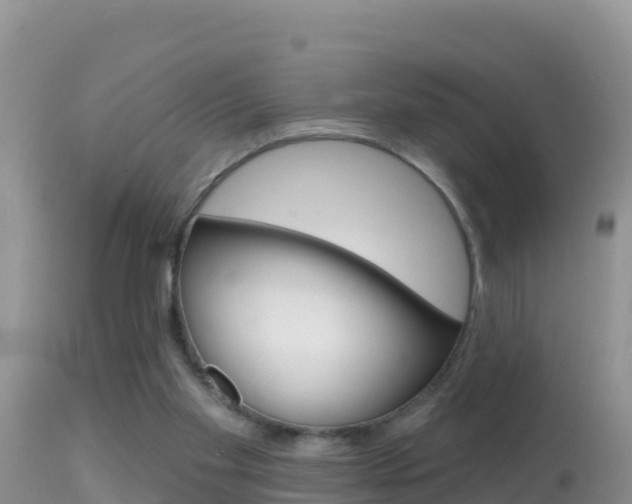 X0000114400109200910161105