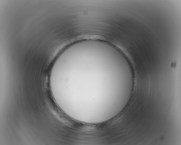 X0000114400110200910161105