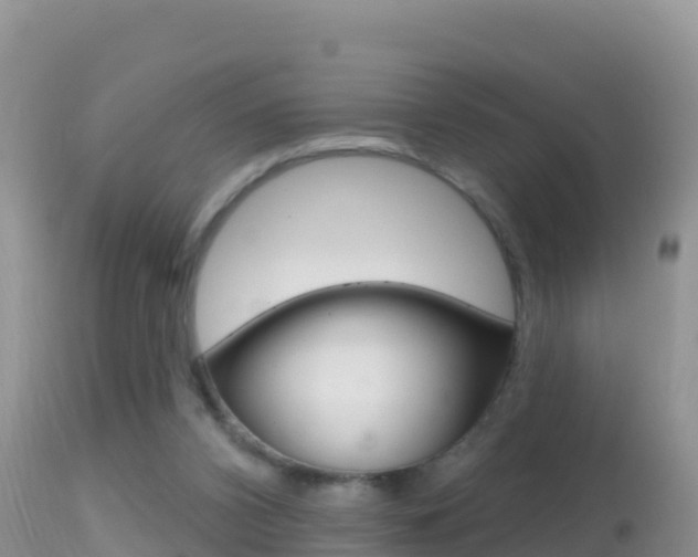 X0000114400112200910161105
