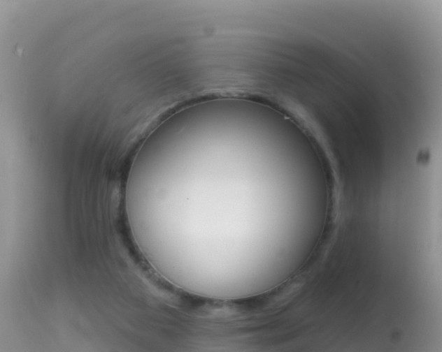 X0000114400113200910161105