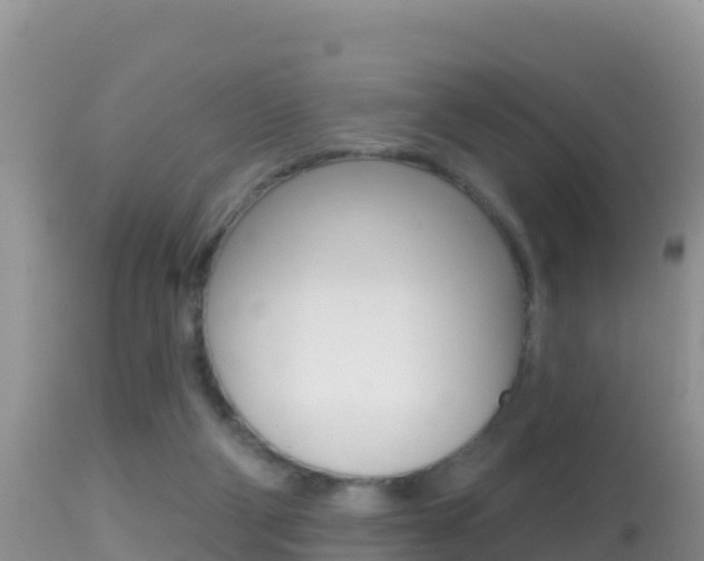X0000114400114200910161105