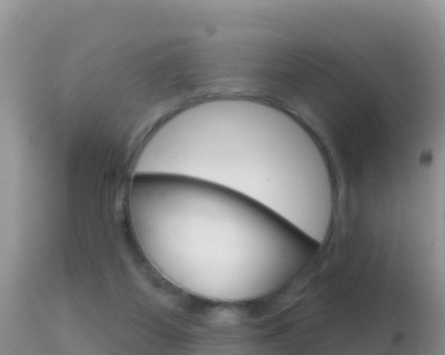 X0000114400115200910161105