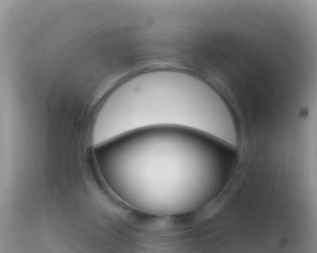 X0000114400116200910161105