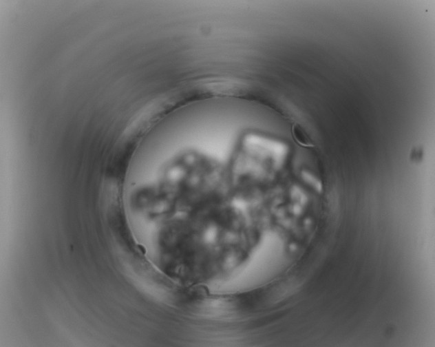 X0000114400117200910161105
