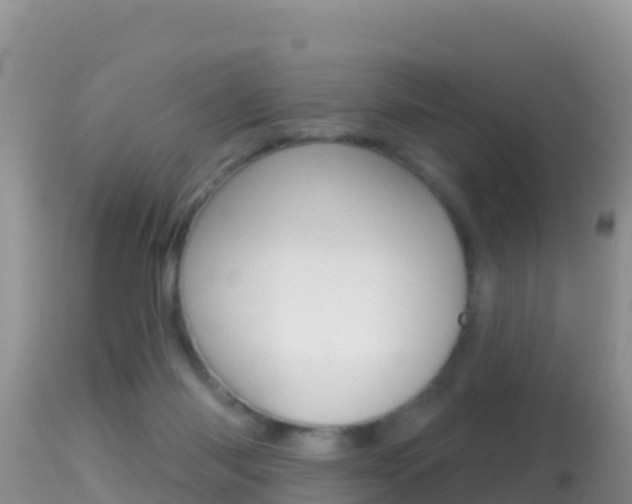 X0000114400118200910161105