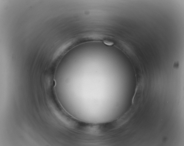 X0000114400120200910161105
