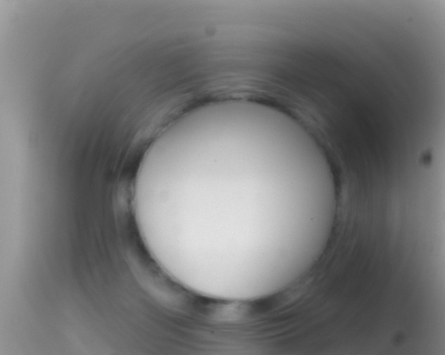 X0000114400122200910161105