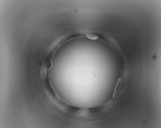 X0000114400124200910161105