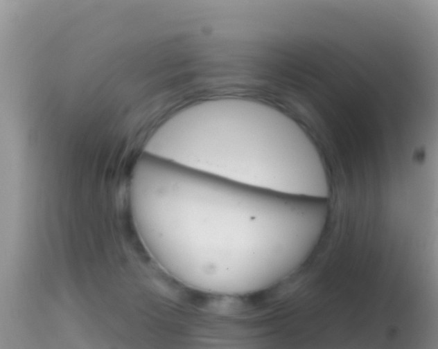 X0000114400125200910161105