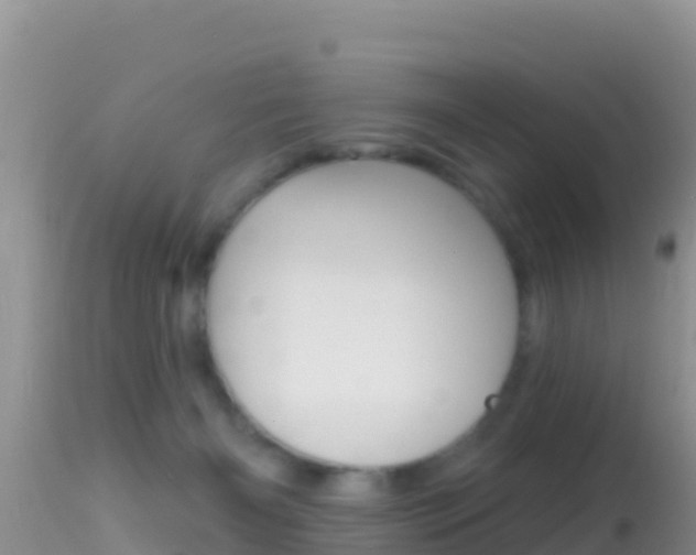 X0000114400126200910161105