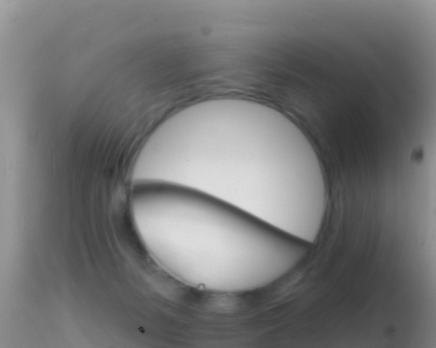 X0000114400127200910161105