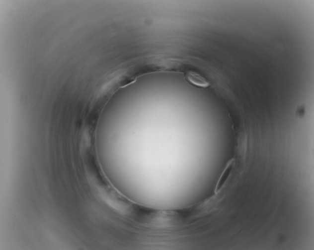 X0000114400128200910161105
