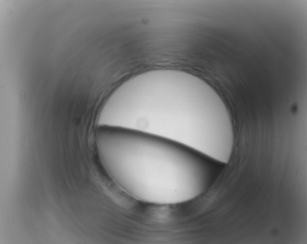 X0000114400131200910161105
