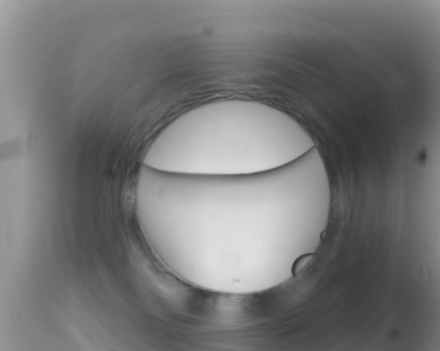 X0000114400134200910161105