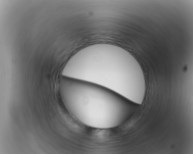 X0000114400135200910161105