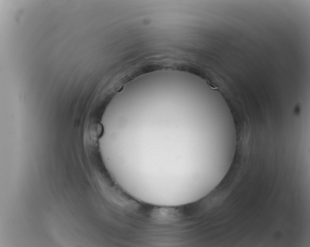 X0000114400137200910161105