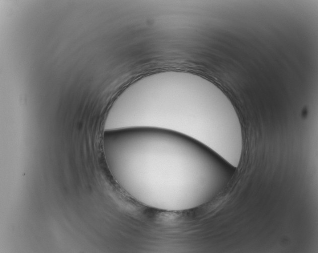 X0000114400139200910161105