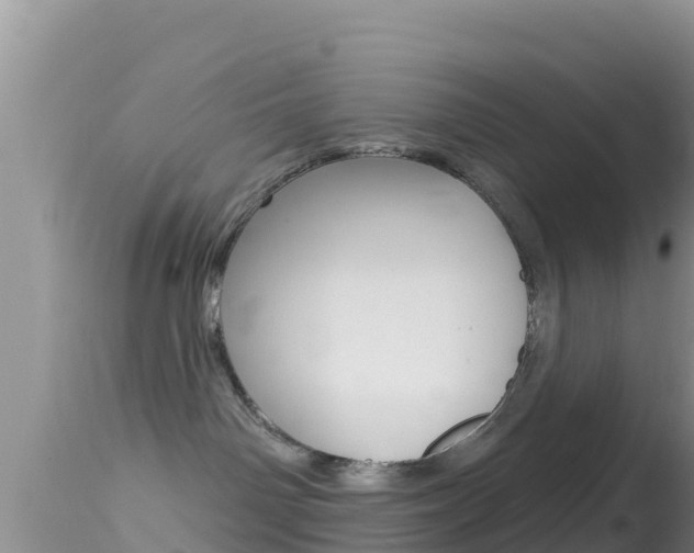 X0000114400142200910161105