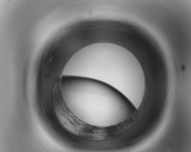 X0000114400143200910161105