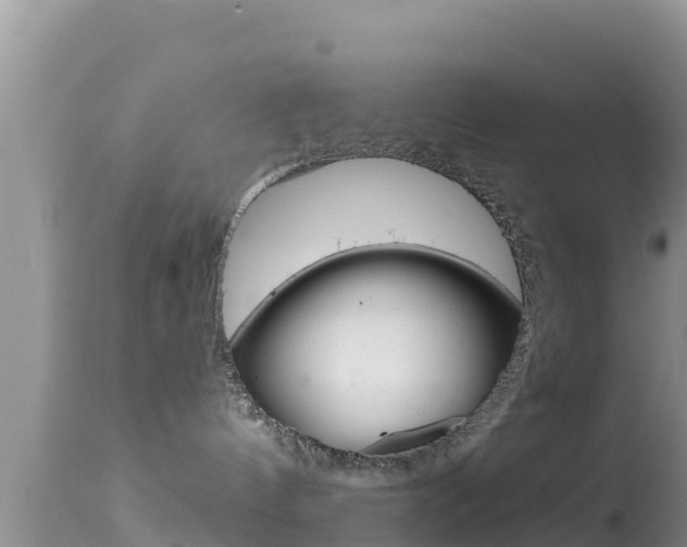 X0000114400144200910161105