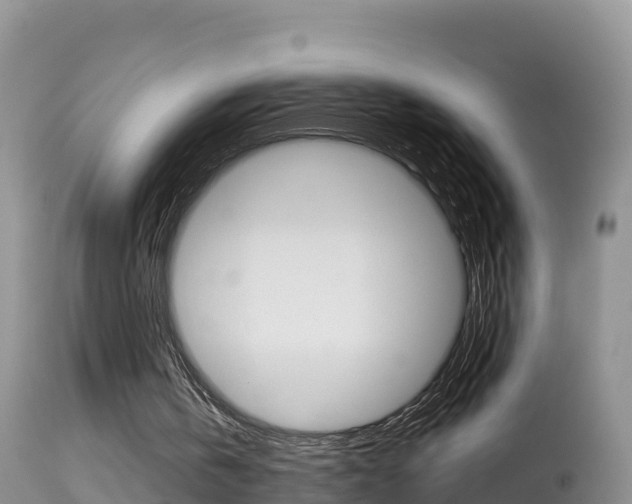 X0000114400146200910161104