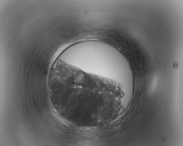 X0000114400147200910161104
