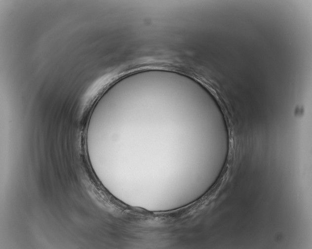 X0000114400149200910161104