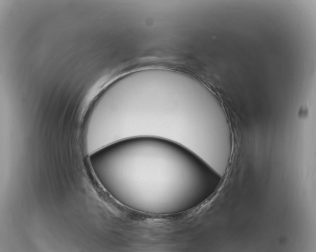 X0000114400150200910161104