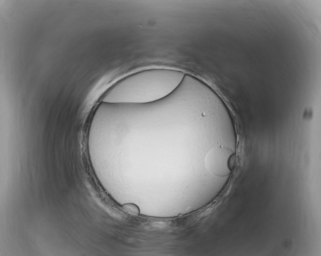X0000114400151200910161104
