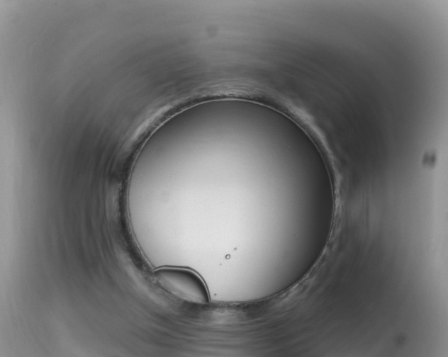X0000114400154200910161104