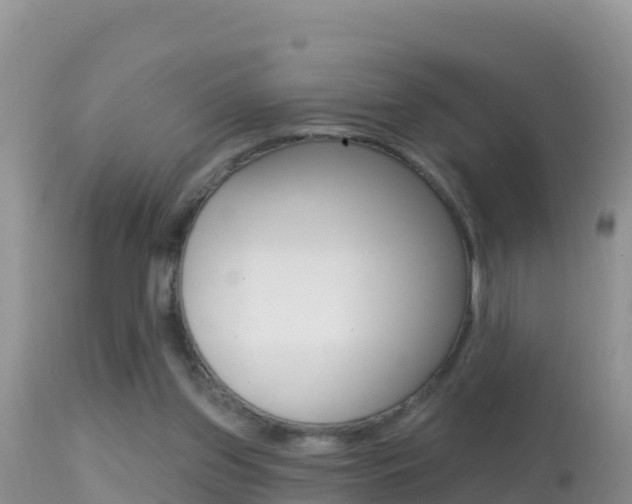 X0000114400157200910161104