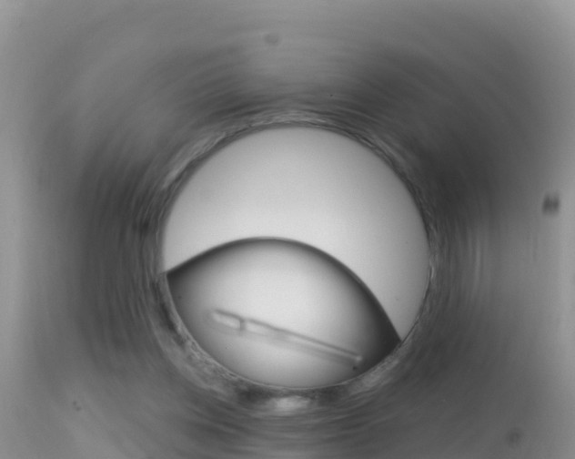 X0000114400158200910161104