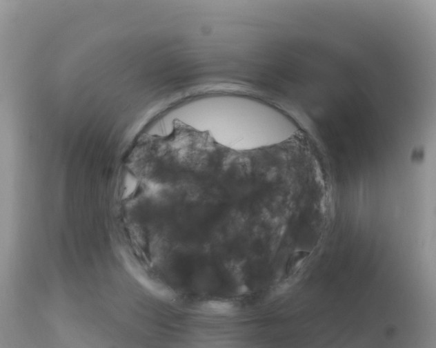 X0000114400159200910161104