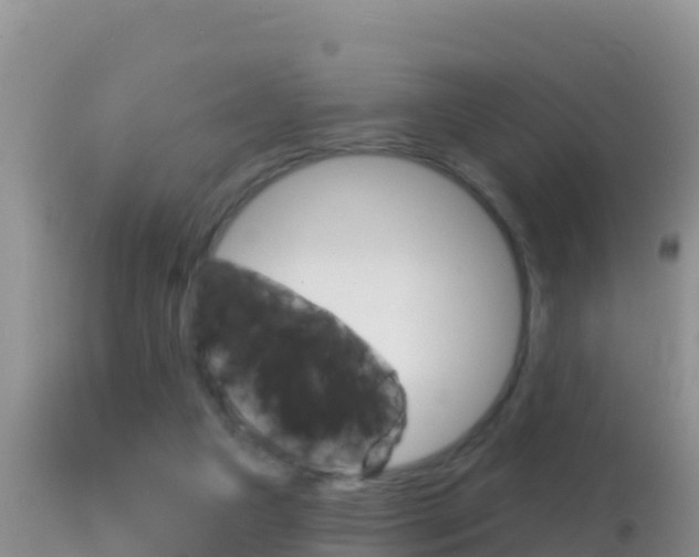 X0000114400161200910161104