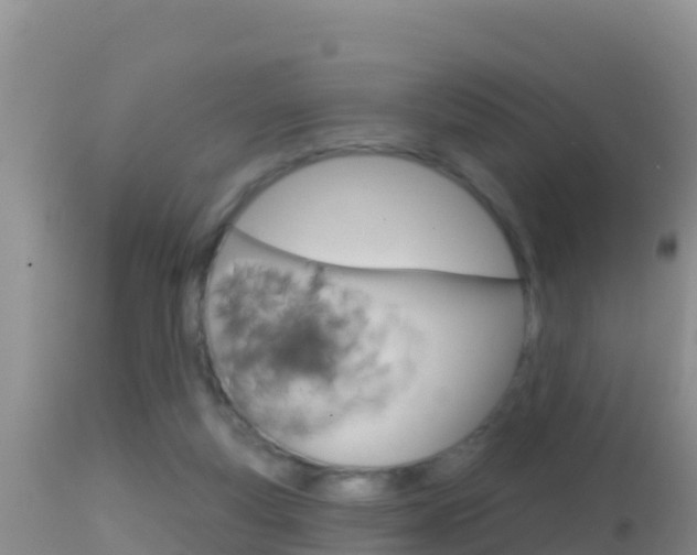 X0000114400163200910161104