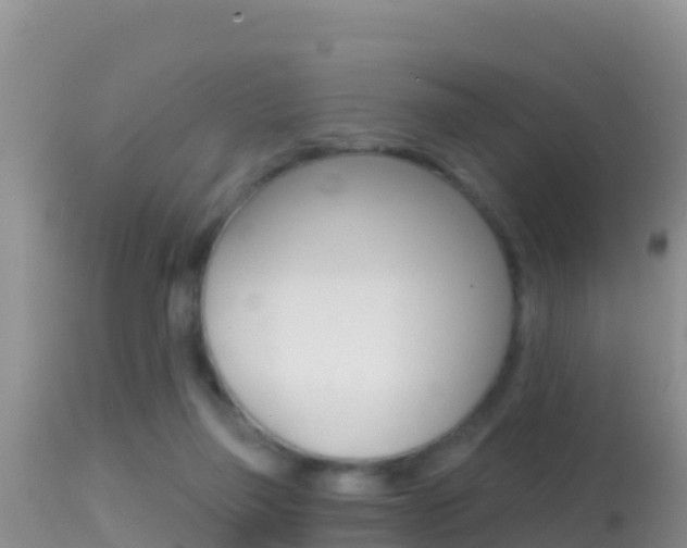 X0000114400165200910161104