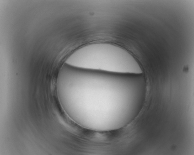 X0000114400166200910161104