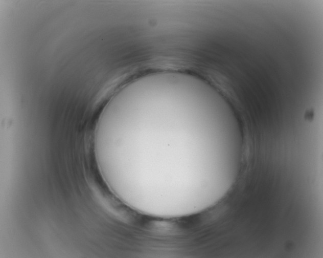 X0000114400167200910161104
