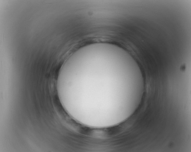 X0000114400169200910161104