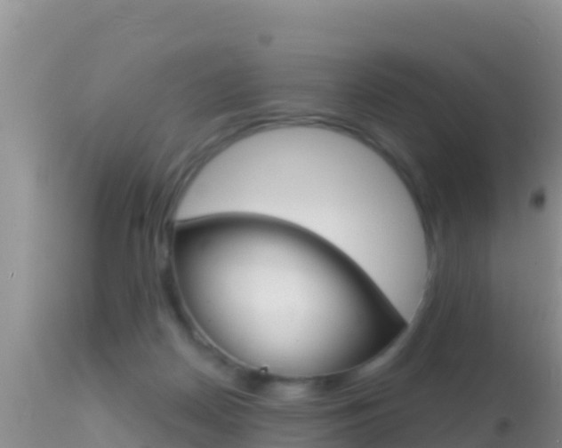 X0000114400170200910161104