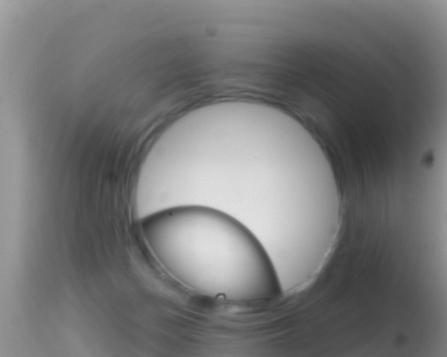 X0000114400174200910161104