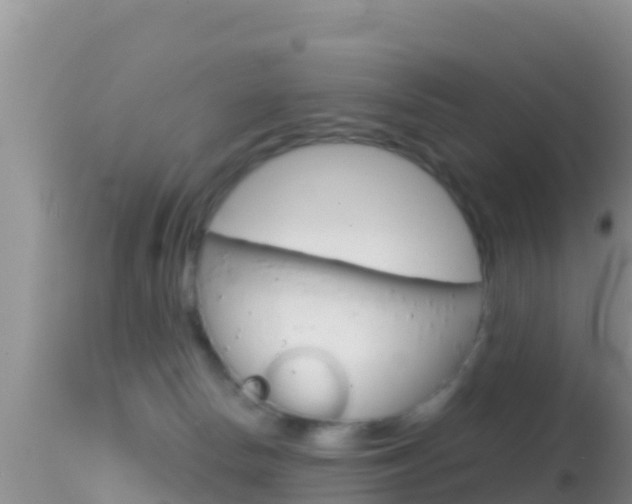 X0000114400178200910161105