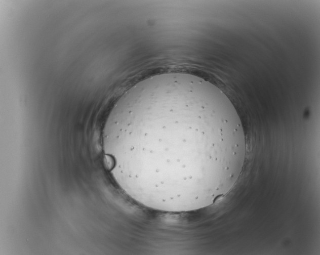 X0000114400187200910161105