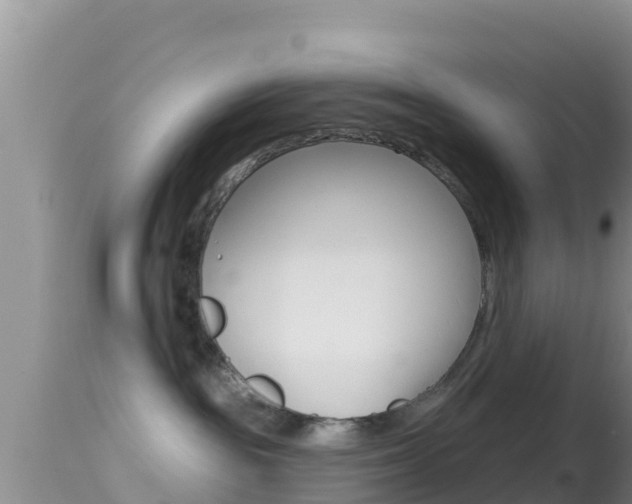 X0000114400189200910161105