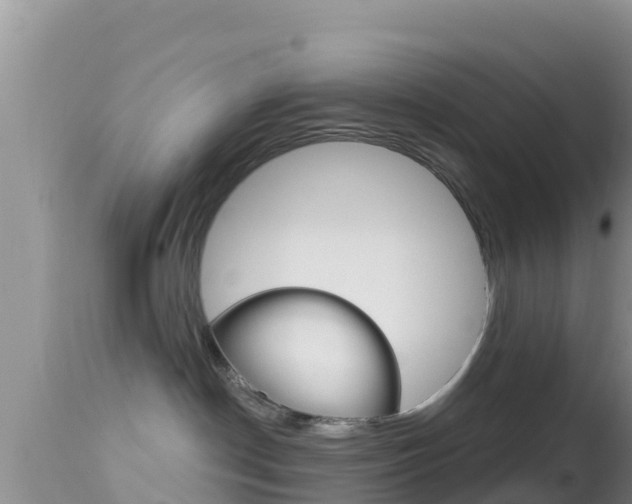 X0000114400190200910161105
