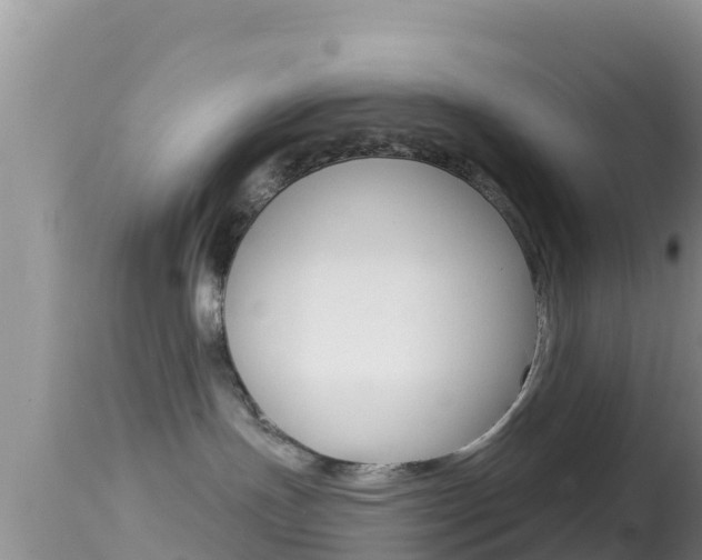 X0000114400191200910161105