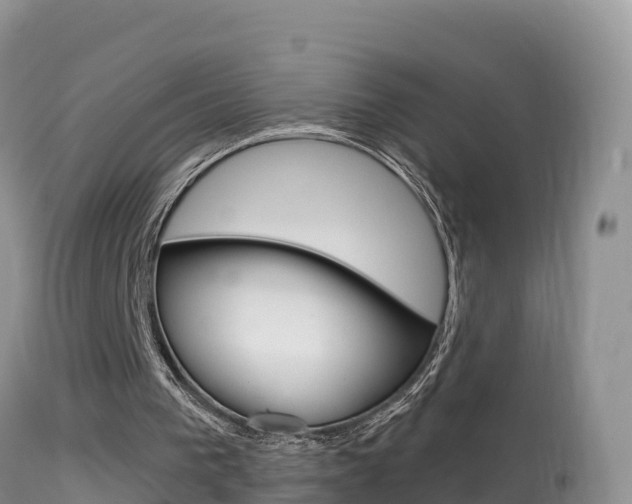 X0000114400193200910161104