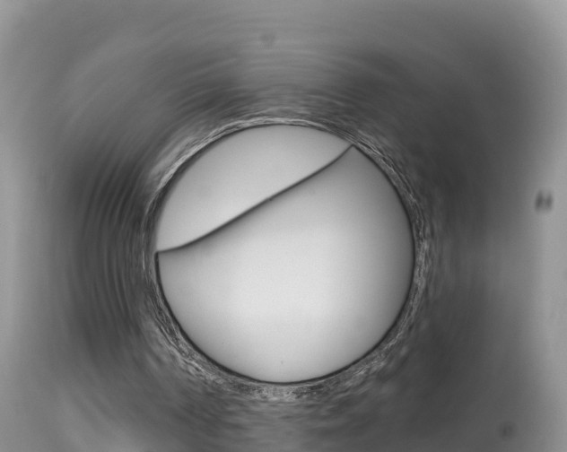 X0000114400194200910161104